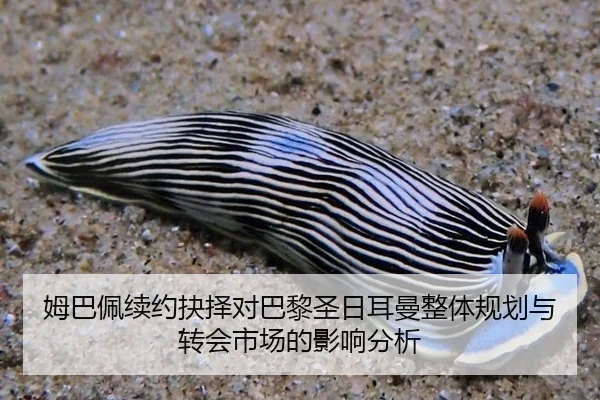 姆巴佩续约抉择对巴黎圣日耳曼整体规划与转会市场的影响分析