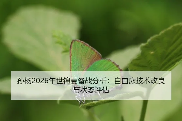 sun-yang-nian-shi-jin-sai-bei-zhan-fen-xi-zi-you-yong-ji-shu-gai-liang-yu-zhuang-tai-ping-gu-2-690.jpg